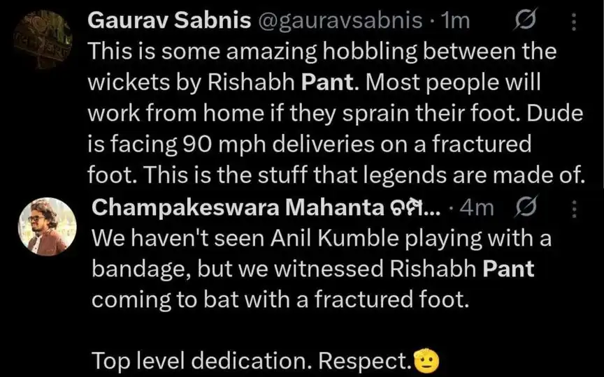 Fan Tweets on Rishabh Pant. [Source - x.com]