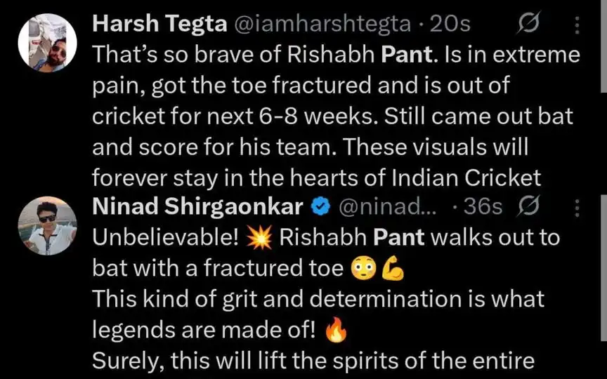 Fan tweets on Rishabh Pant. [Source - x.com]