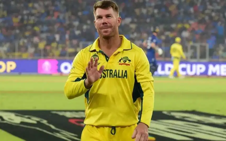 David Warner Career (Source:@CricCrazyJohns,x.com)