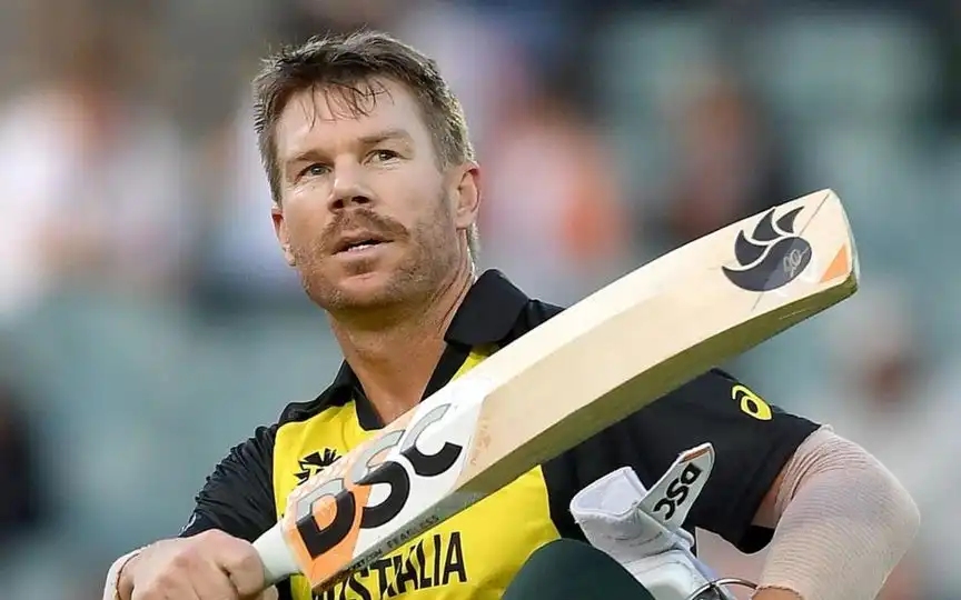 David Warner's T20I Career (Source:@shurlistan,x.com)