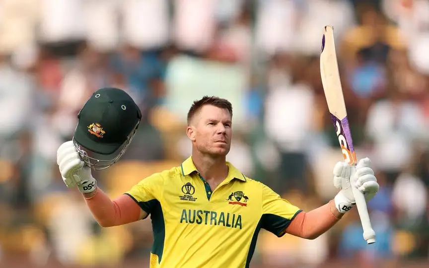 David Warner's ODI career (Source:@ImTanujSingh,x.com)