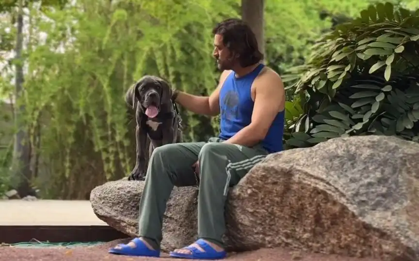 MS Dhoni is a dog lover [Source: @ItzThanesh/x.com]
