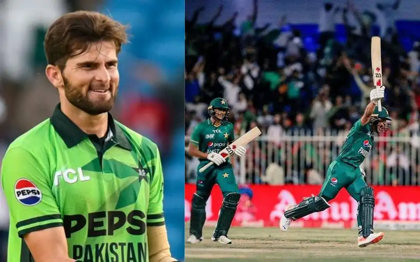 Shaheen Afridi hailed Naseem Shah [Source: @proudpctfan, @JamshaidAli94/x.com]