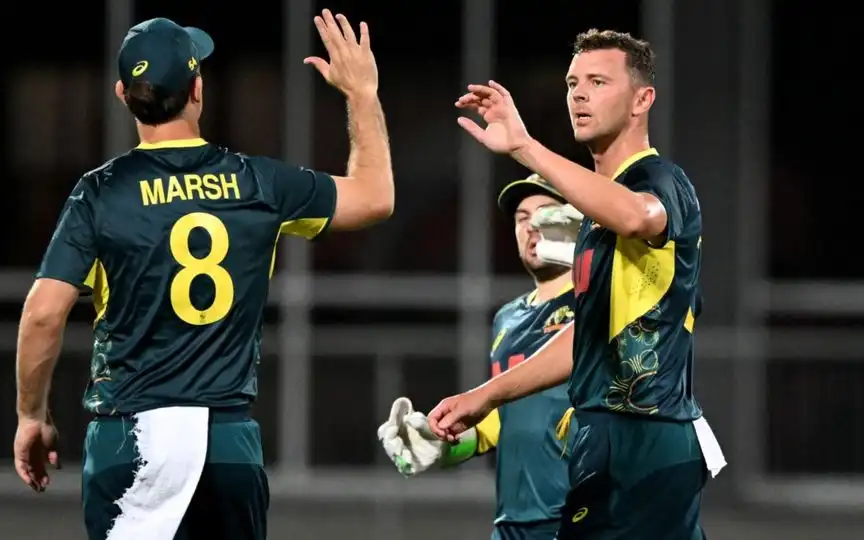 Josh Hazlewood in T20I vs SA (Source: AFP)
