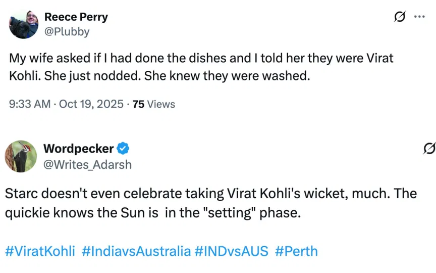 Fan tweets [Source: @Plubby, @Writes_Adarsh/X.com]