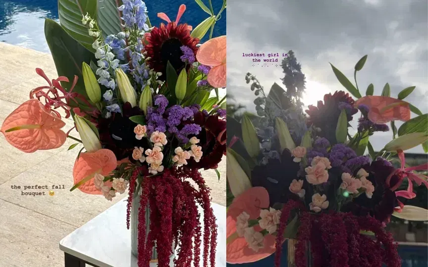 Hardik Pandya's special gesture for Mahieka Sharma (Source: Instagram)