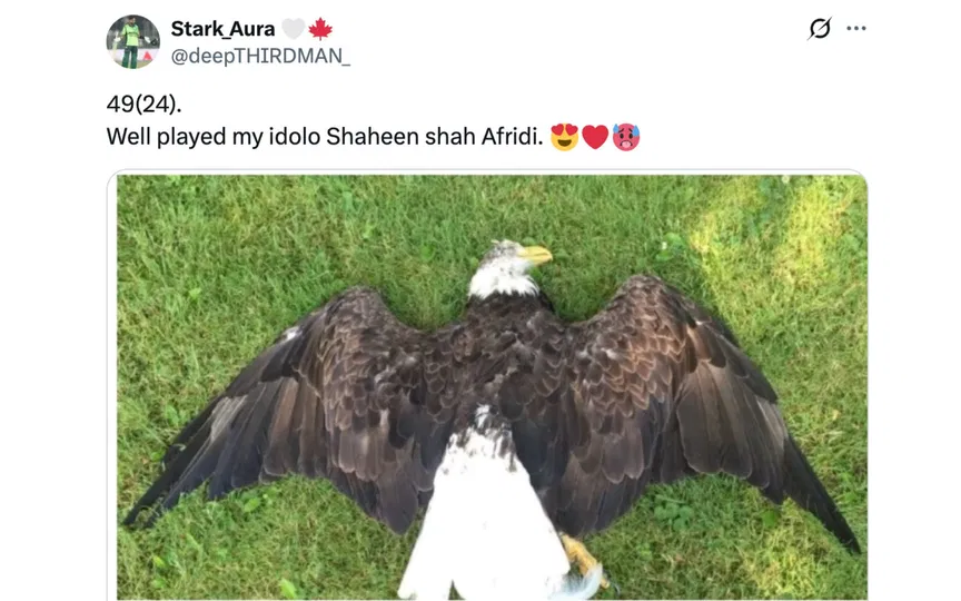 Fan tweet [Source: @deepTHIRDMAN_/X.com]