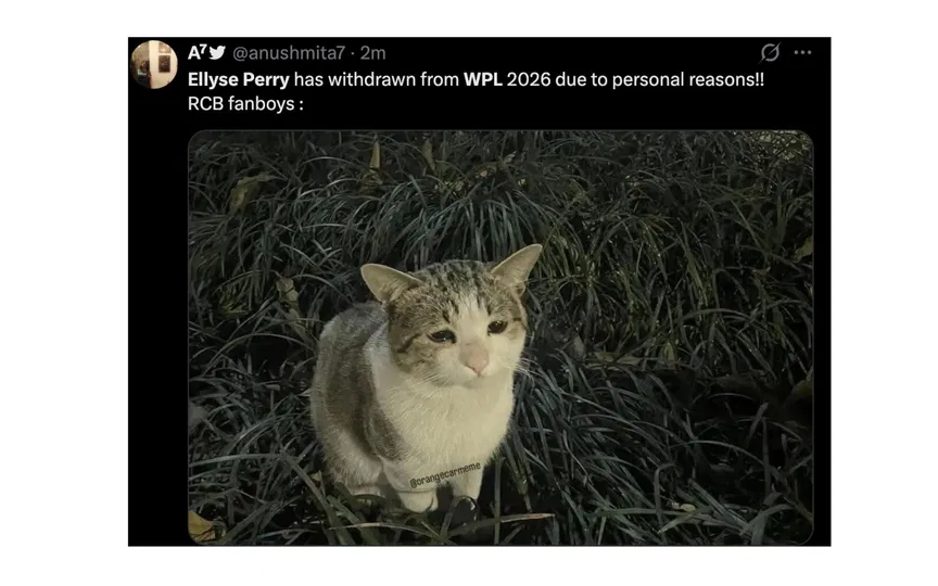 Tweet from X user [Source: Screengrab]