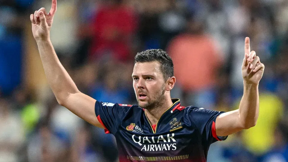 जोश हेज़लवुड [स्रोत: एएफपी]