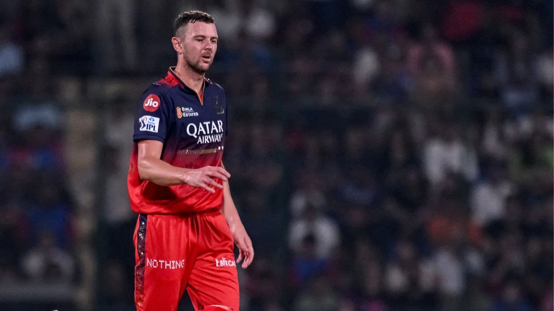 Josh Hazlewood in IPL (Source:AFP)