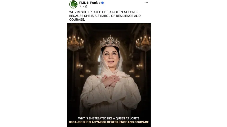 PML-N's post [Source: @TsMeSalman1/X.com]