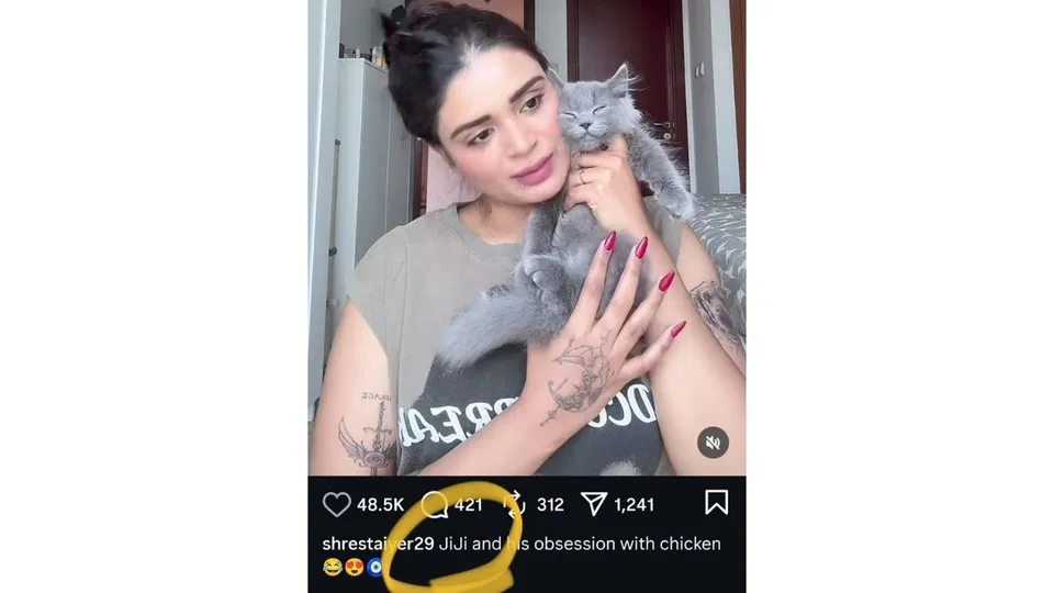 Shresta Iyer Instagram Reel [Source: Screengrab]