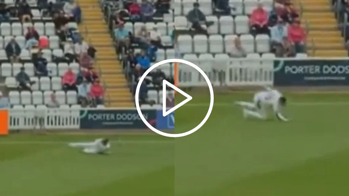 Joe Root takes a phenomenal catch [Image Credits: X]