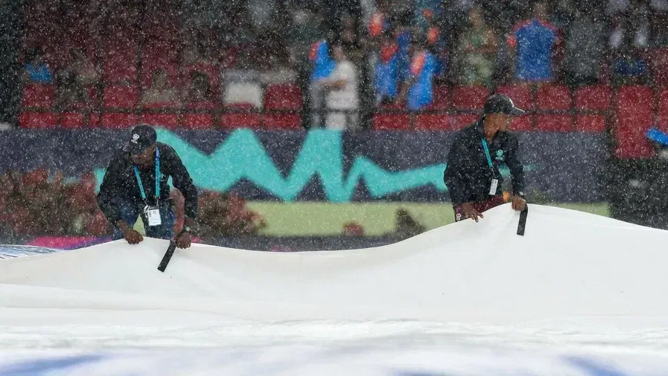 NZ vs WI: Weather & Pitch Report news