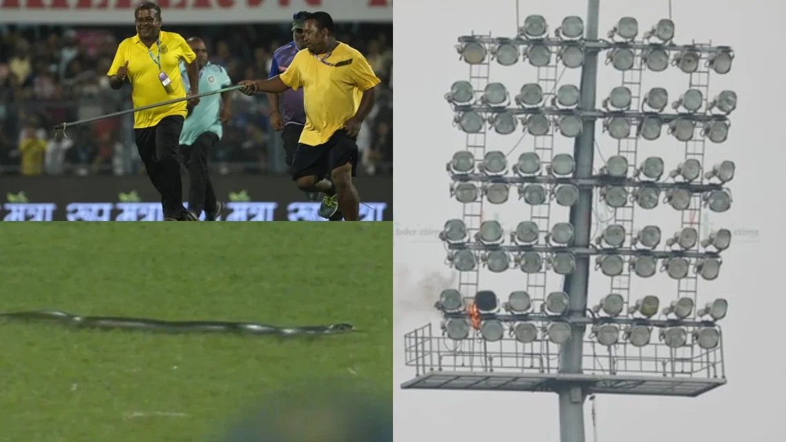 Snake invasion and floodlight fire in PSL (Source: X)