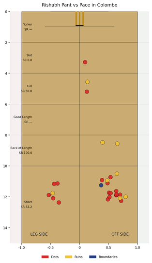 Rishabh Pant's pitch map in 2nd Test